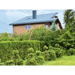 namo dalis Pavasario g. 12  Domeikavoje Kauno r.sav.